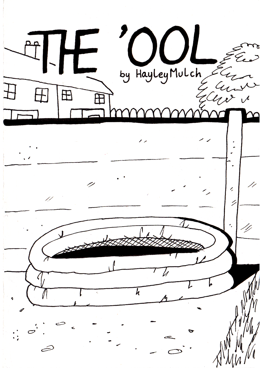 The cover of the short comic THE 'OOL, which is in black and white and drawn in black pen. It's a drawing of an inflatable, circular paddle pool with water in it. It's set against a fence and you can just see the neighbours houses and trees from other neighbours back gardens. The text on it reads "THE 'OOL by HayleyMulch".